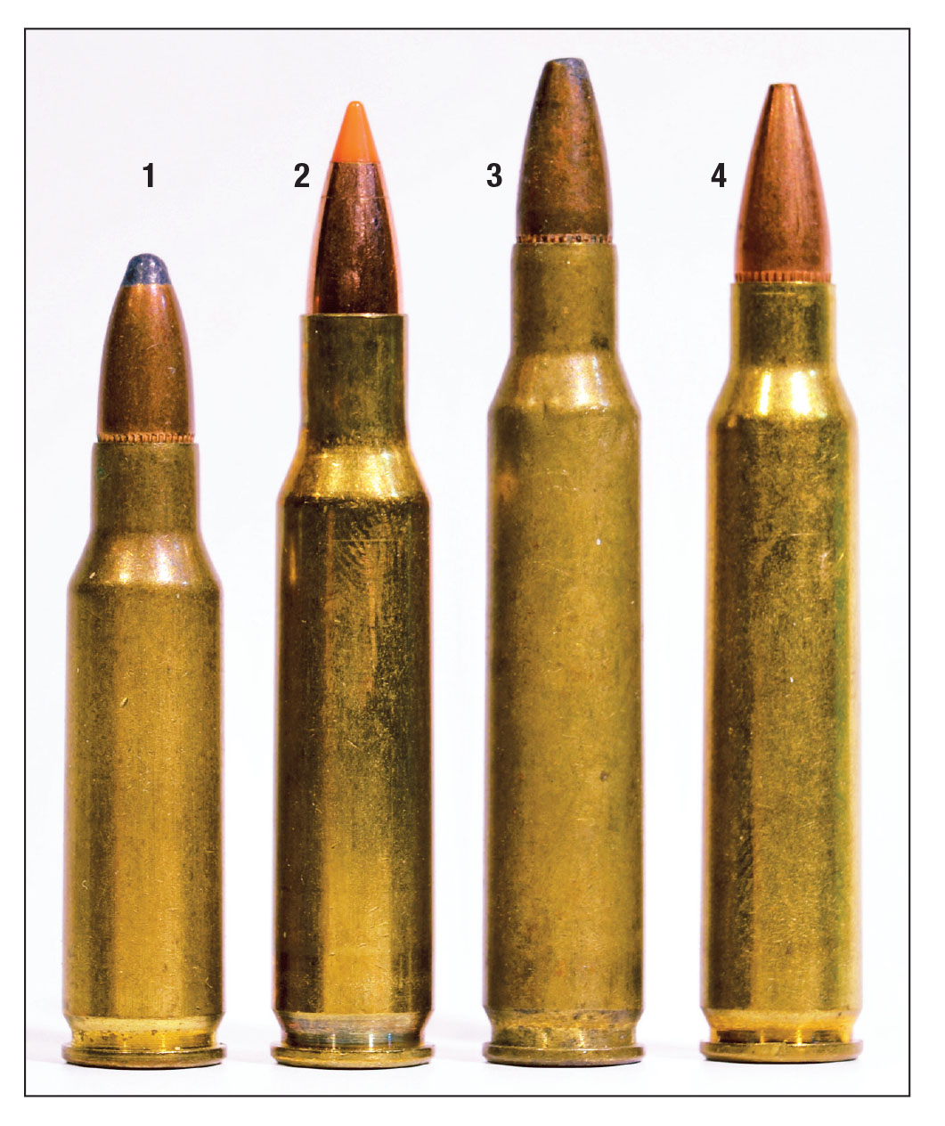 The .222 and its early progeny, from left: (1) .221 Fireball (1963), (2) .222 Remington, (3) .222 Remington Magnum (1958), (4) .223 Remington (early 1960s).